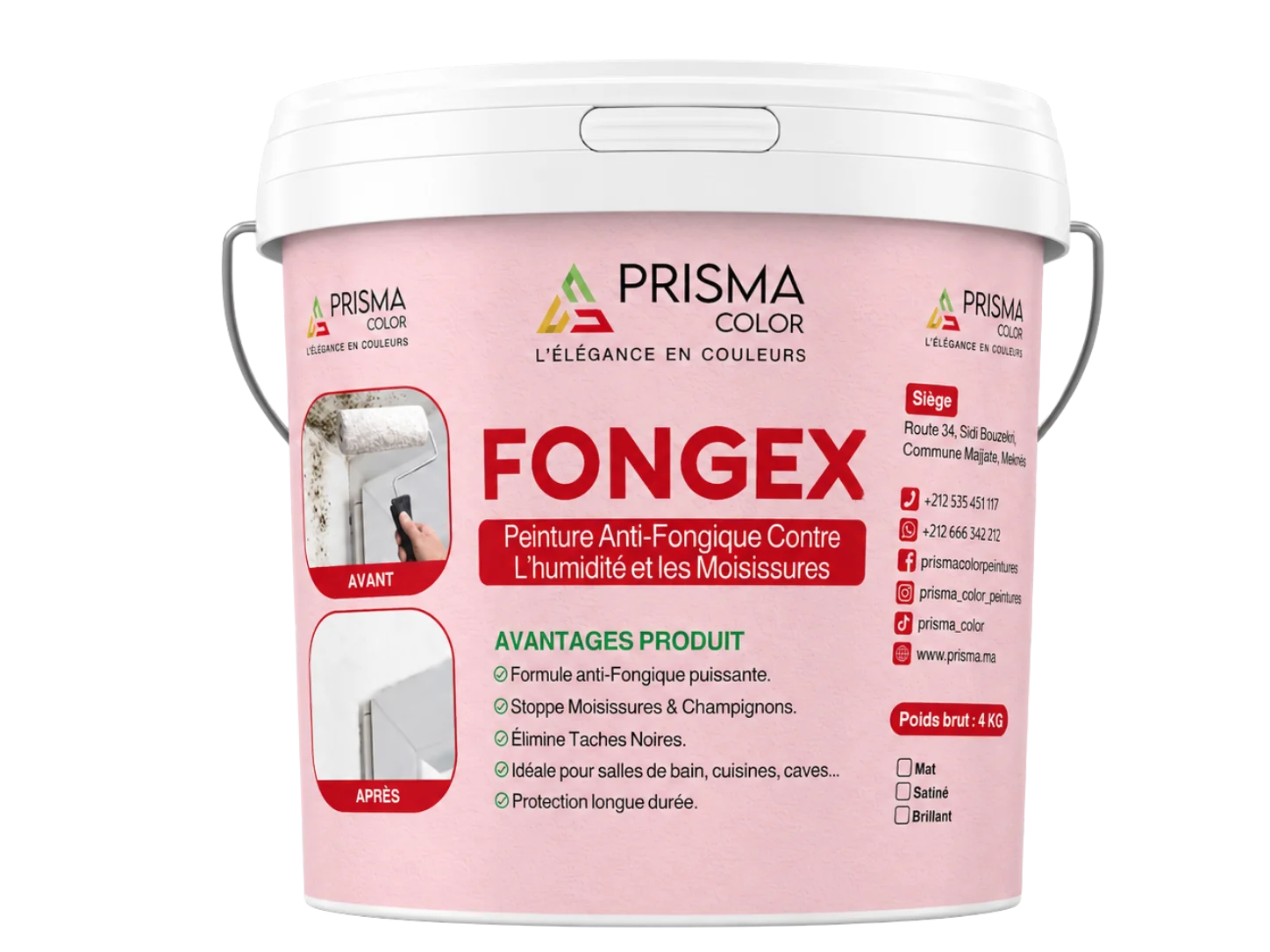 FONGEX